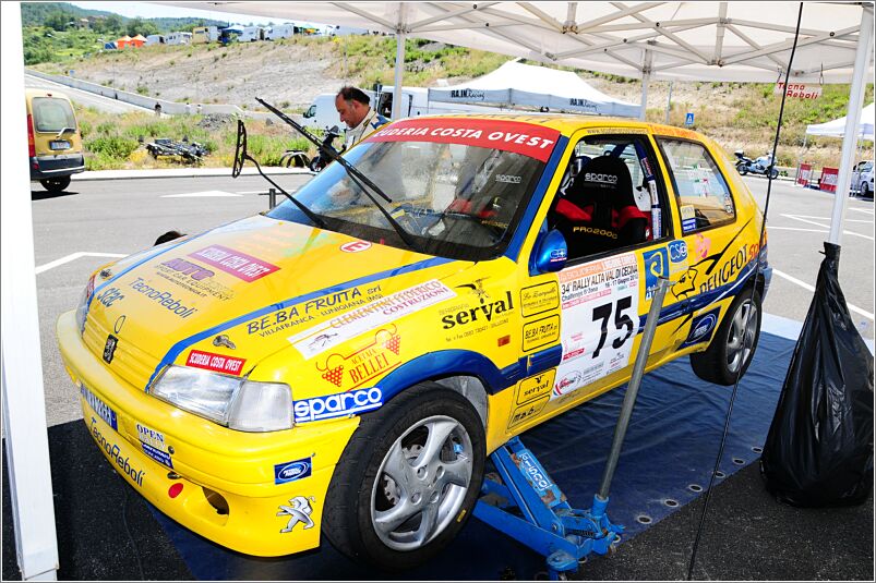 Cecina2012 (2888)